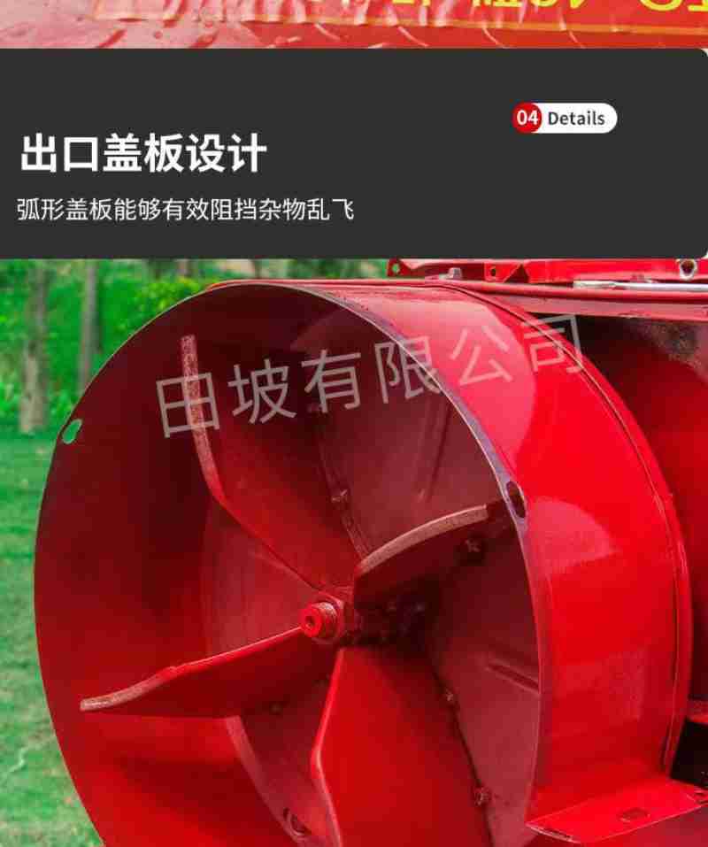 画舫穿行于天鹅河上 (央广网发 马丽娟 摄)